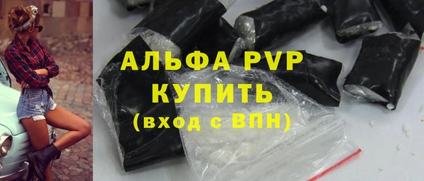 прущие грибы Михайловск