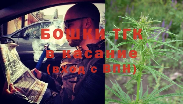 прущие грибы Михайловск
