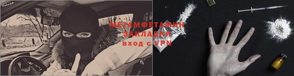 прущие грибы Михайловск