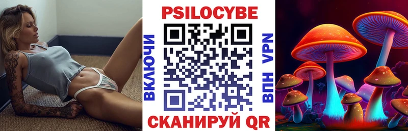 Псилоцибиновые грибы Cubensis  даркнет сайт  Еманжелинск 