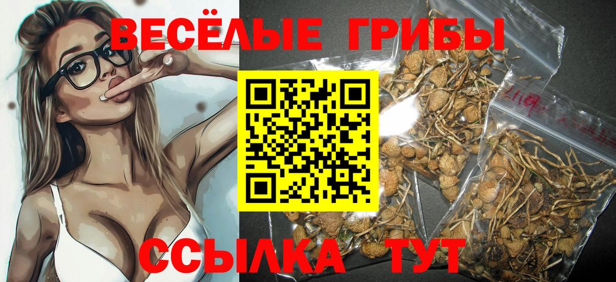 Псилоцибиновые грибы Psilocybine cubensis Еманжелинск