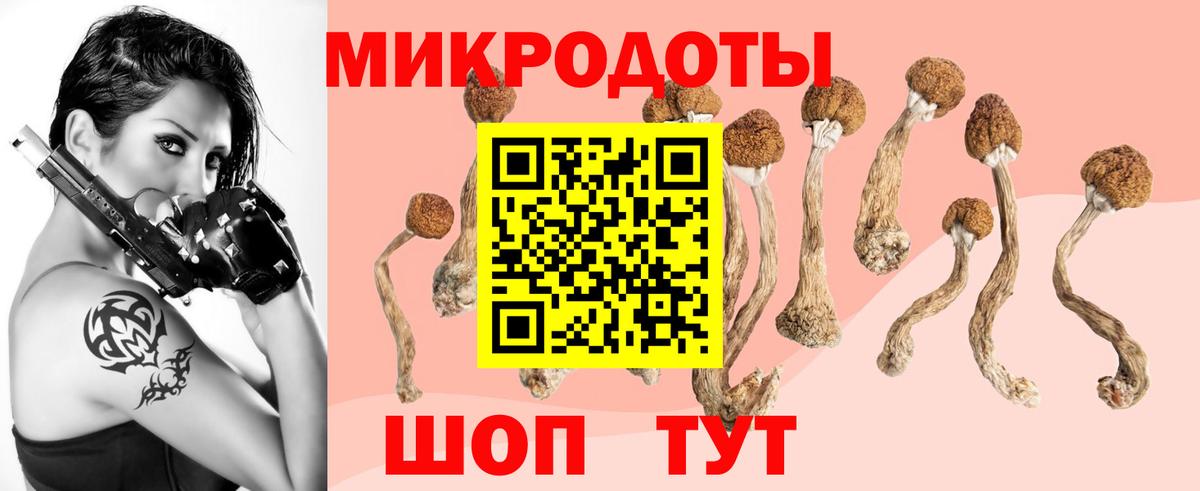 Галлюциногенные грибы мухоморы  Вход с VPN  Еманжелинск 
