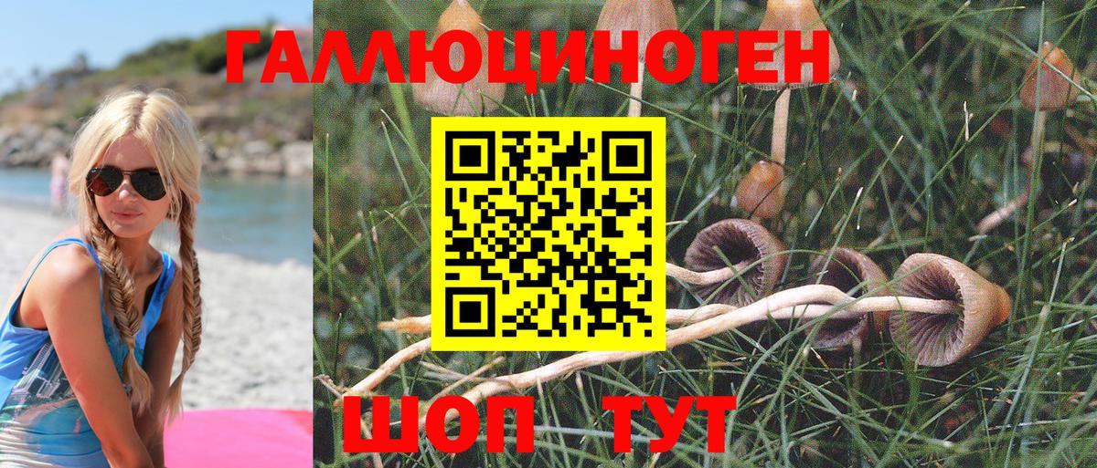 Галлюциногенные грибы MAGIC MUSHROOMS Еманжелинск